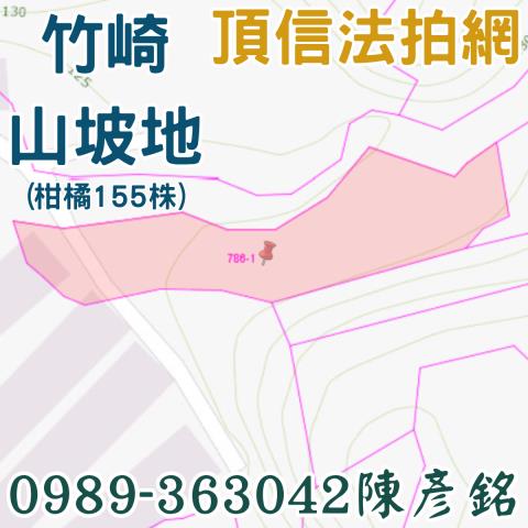 嘉義竹崎農地法拍-2