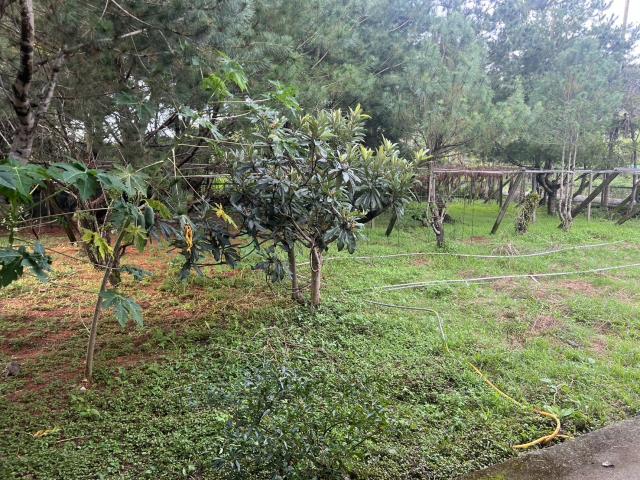 台中東勢農地-0