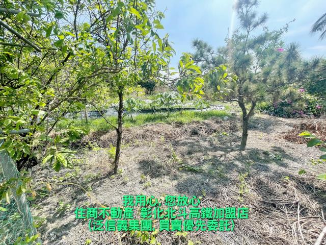 彰化田尾農地-0
