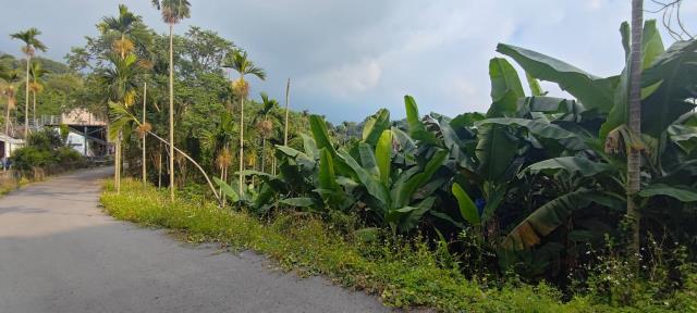 台中東勢農地-0