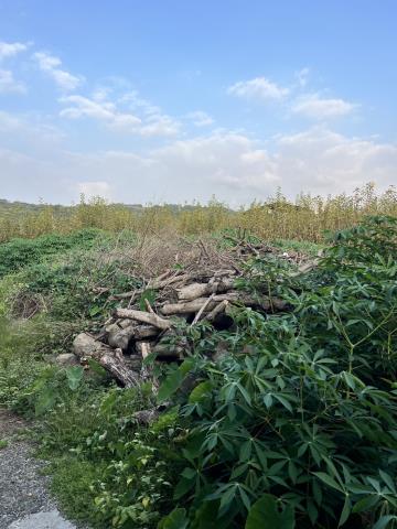 台中東勢農地-0