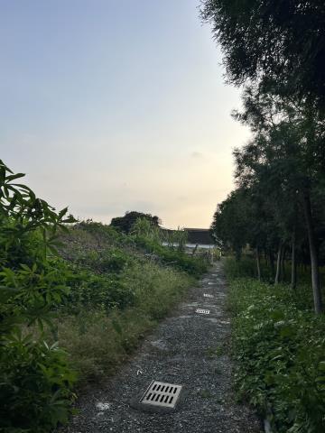 台中東勢農地-4