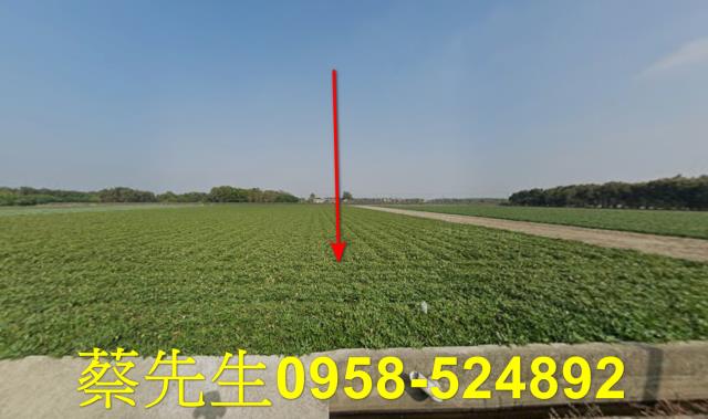 法拍元長低於公告現值2分農地免稅傳承神物