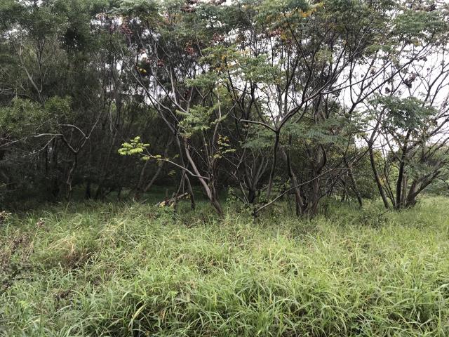 桃園楊梅工業地-0