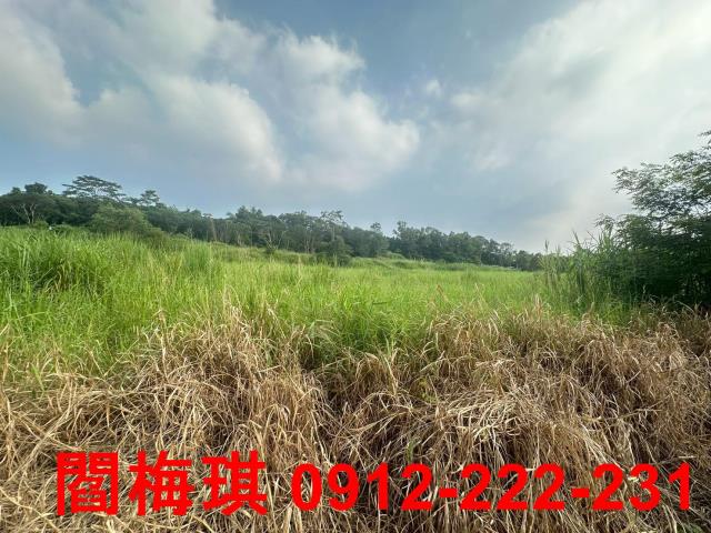 台南新化農地-1