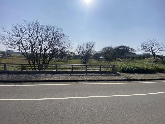 桃園大園農地-3