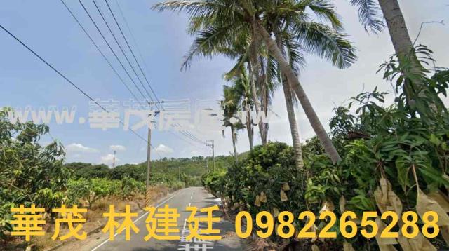 南化拍賣農地-0