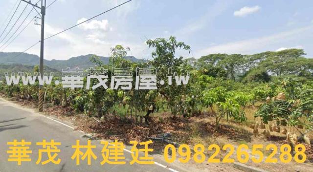 南化農地拍賣-0