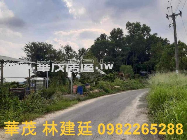 左鎮拍賣農地-1