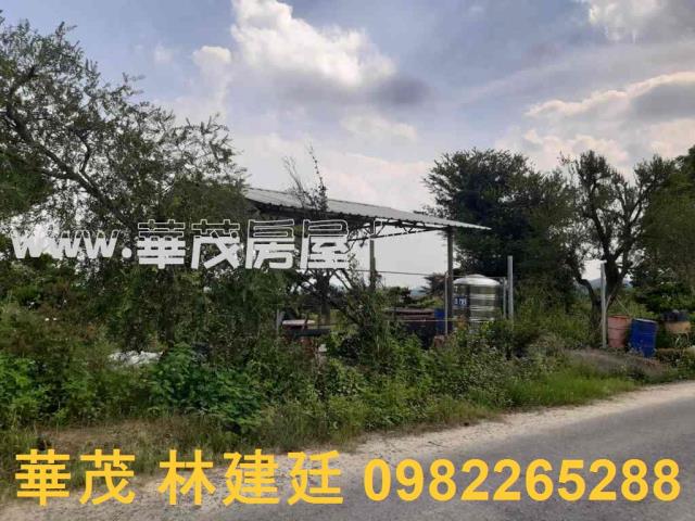 左鎮拍賣農地-2