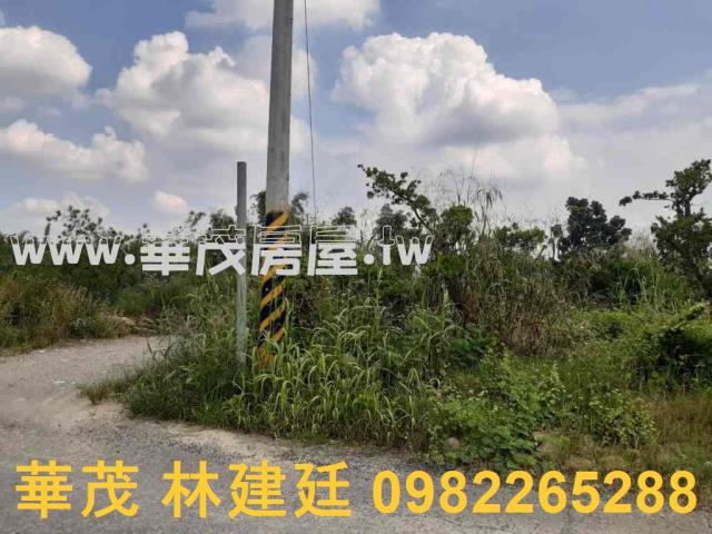 左鎮拍賣農地-3