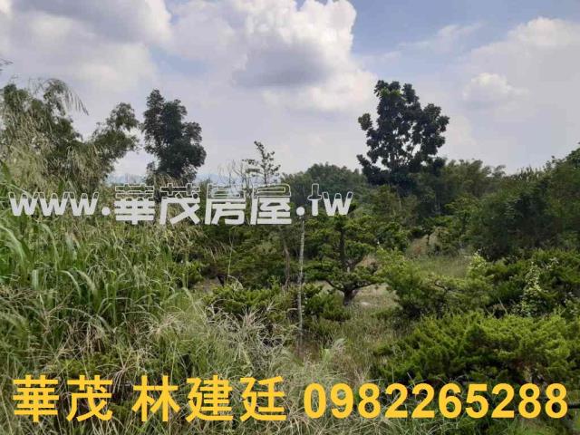 左鎮拍賣農地-4