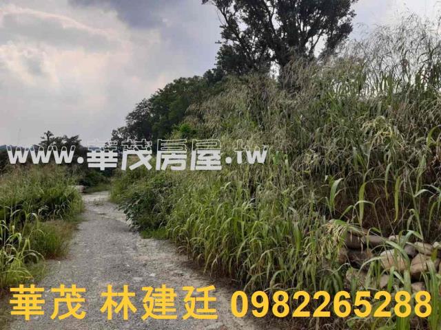 左鎮拍賣農地-5