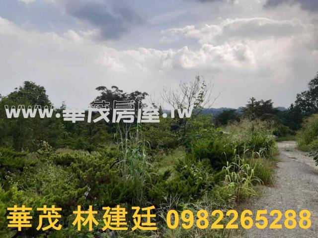 左鎮拍賣農地-6