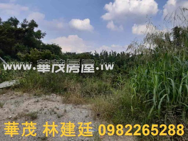 左鎮拍賣農地-7