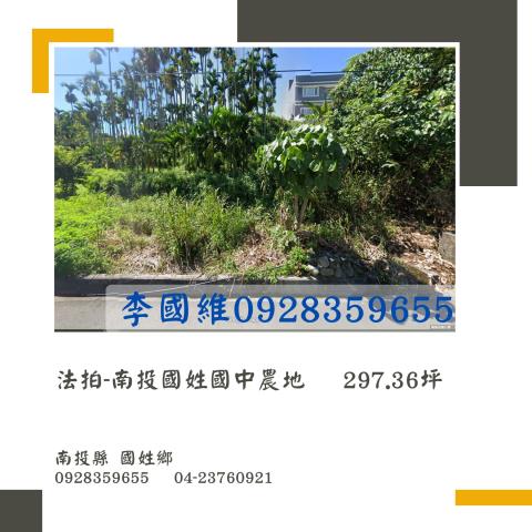 南投法拍農地-0