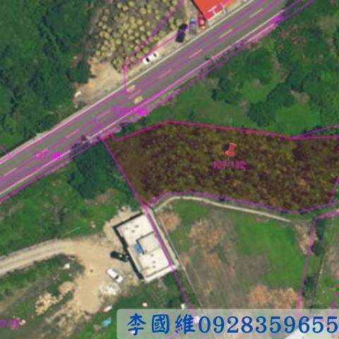 南投法拍農地-2