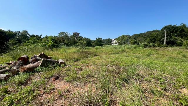 新竹橫山農地-4