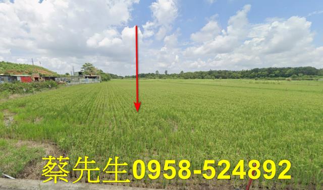 玉井2000坪超便宜農地