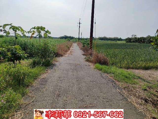 台南市左鎮區土地農地建地iB14014