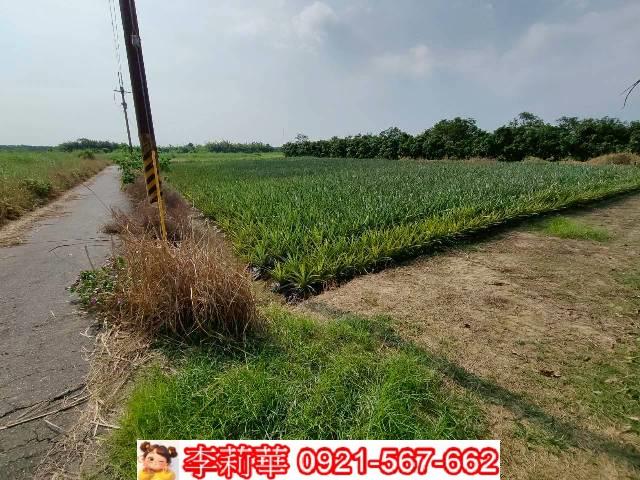 台南歸仁農地-2