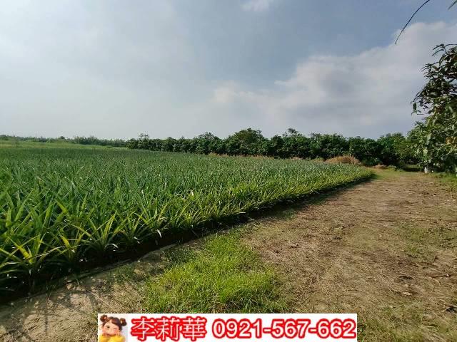 台南歸仁農地-4