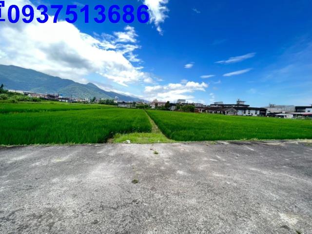 宜蘭礁溪農地-2