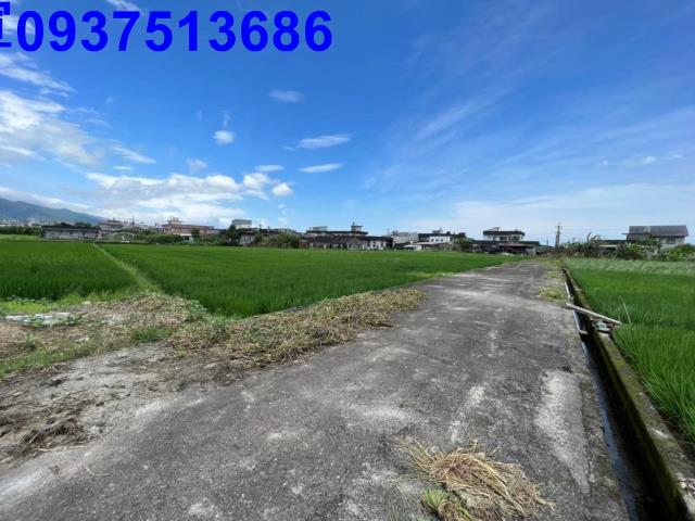 宜蘭礁溪農地-3