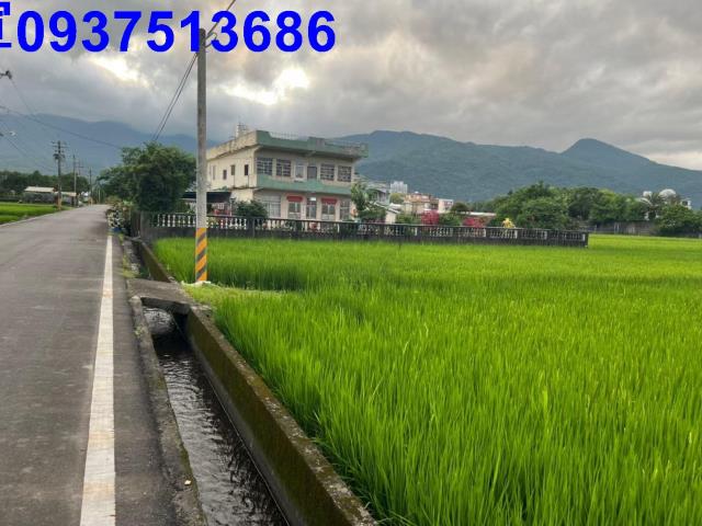 宜蘭礁溪農地-8