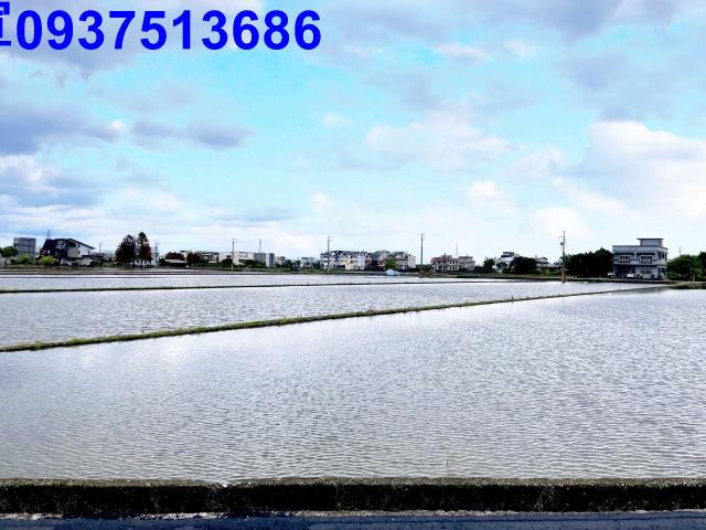 宜蘭宜蘭市農地-10