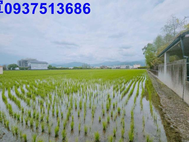 宜蘭員山農地-0