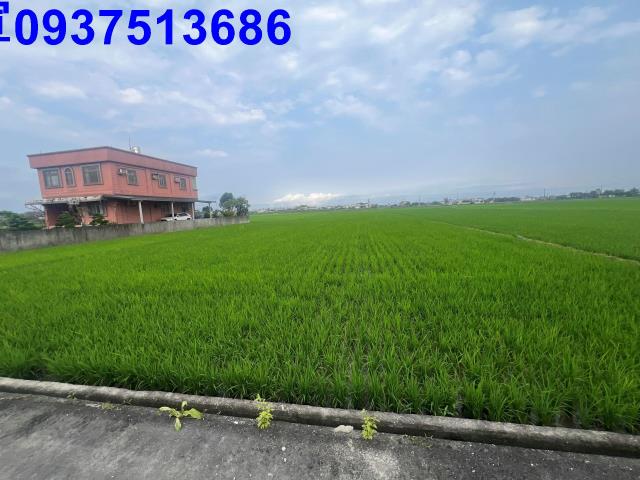 宜蘭礁溪農地-1