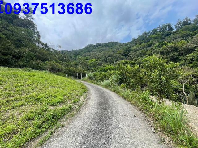 宜蘭礁溪山坡地-11