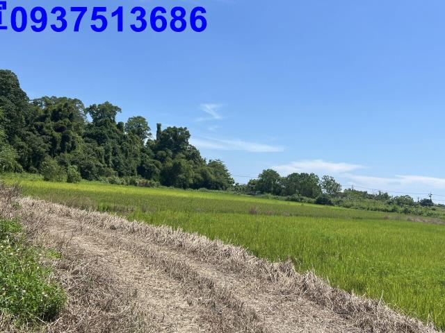 宜蘭員山農地-0