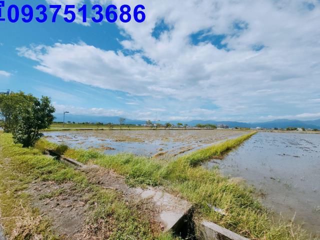 宜蘭壯圍農地-9