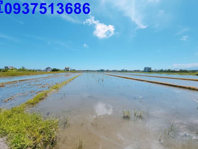 宜蘭礁溪農地-4