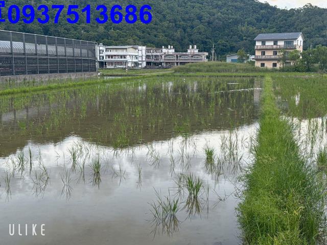 宜蘭礁溪農地-13