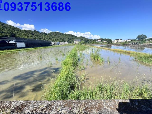 宜蘭礁溪農地-6