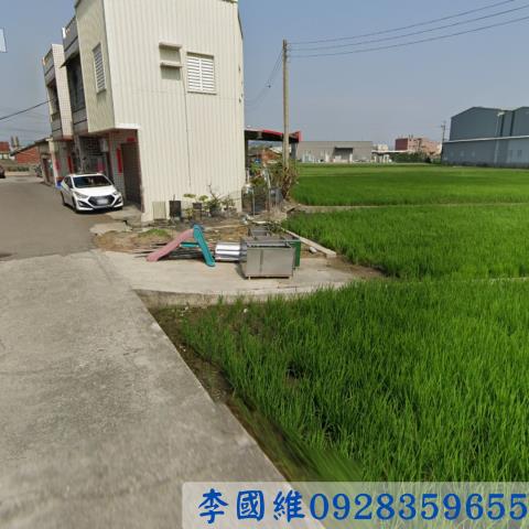 大安區農地法拍-1