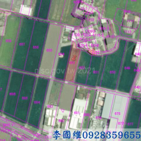 大安區農地法拍-2