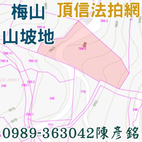 梅山拍賣農地-2