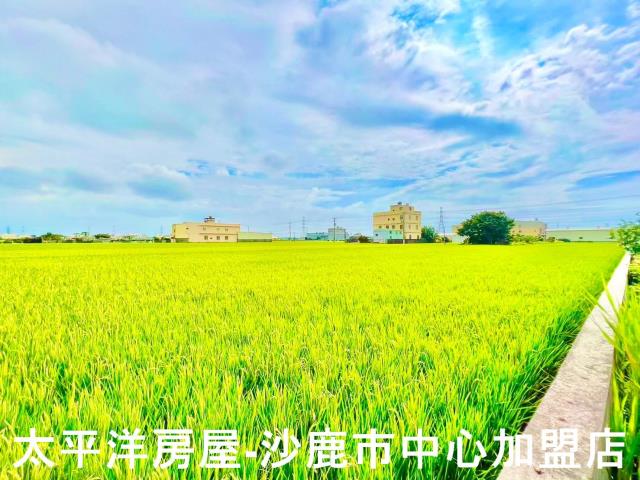 台中農地-3