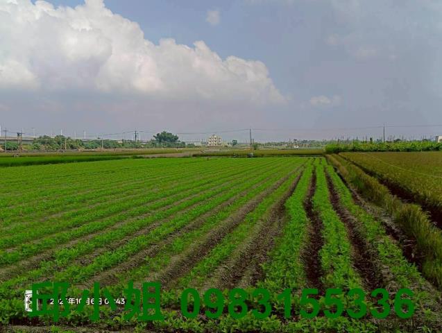 嘉義農地-0