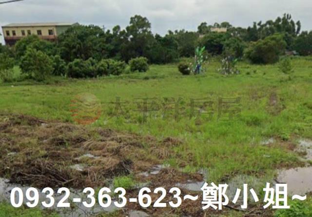 桃園農地-0