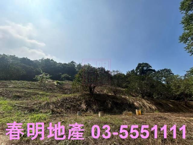 苗栗三灣農地-11