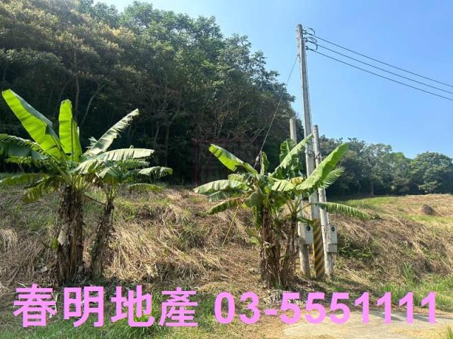 苗栗三灣農地-5