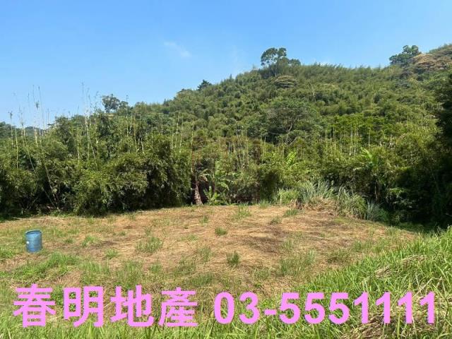 苗栗三灣農地-6