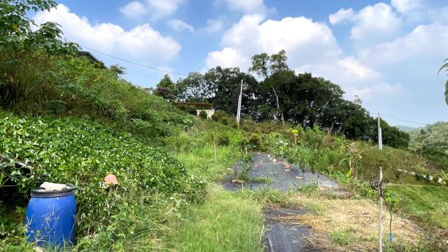 新竹寶山農地-12