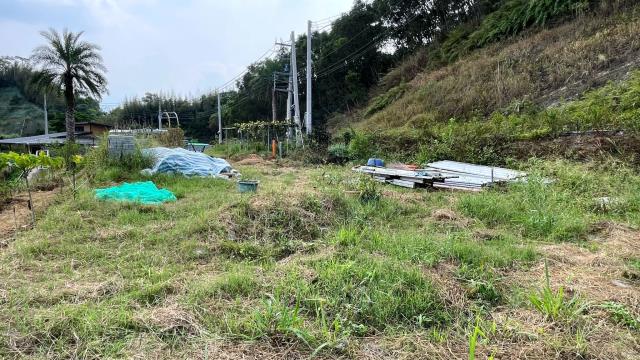 新竹寶山農地-7