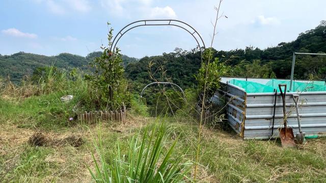 新竹寶山農地-10